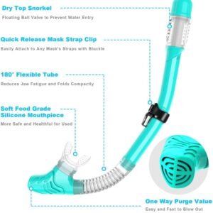 Snorkel Set, Zipoute Snorkel Dry Top Snorkeling Gear for Adults, Panoramic Anti-...