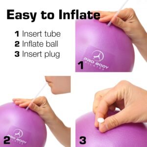 ProBody Pilates Ball Exercise Balls Physical Therapy, Small Exercise Ball for Be...