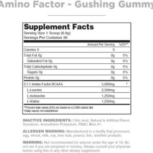 Amino Factor Instantized BCAAs, Gushing Gummy, 30 Servings - Sugar Free Branched...