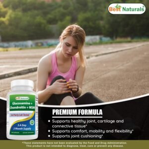 Best Naturals Glucosamine Chondroitin and MSM (Non-GMO) - Promotes Joint Health ...