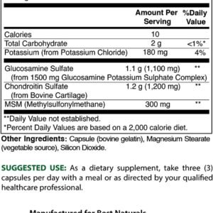 Best Naturals Glucosamine Chondroitin and MSM (Non-GMO) - Promotes Joint Health ...