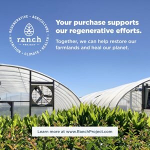 Ancient Nutrition Organic SuperGreens and Multivitamin Tablets with Probiotics, ...