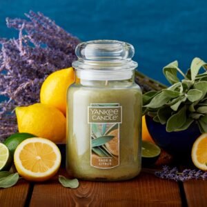 Yankee Candle Sage & Citrus Scented, 22oz Single Wick Candle, Over 110 Hours of ...