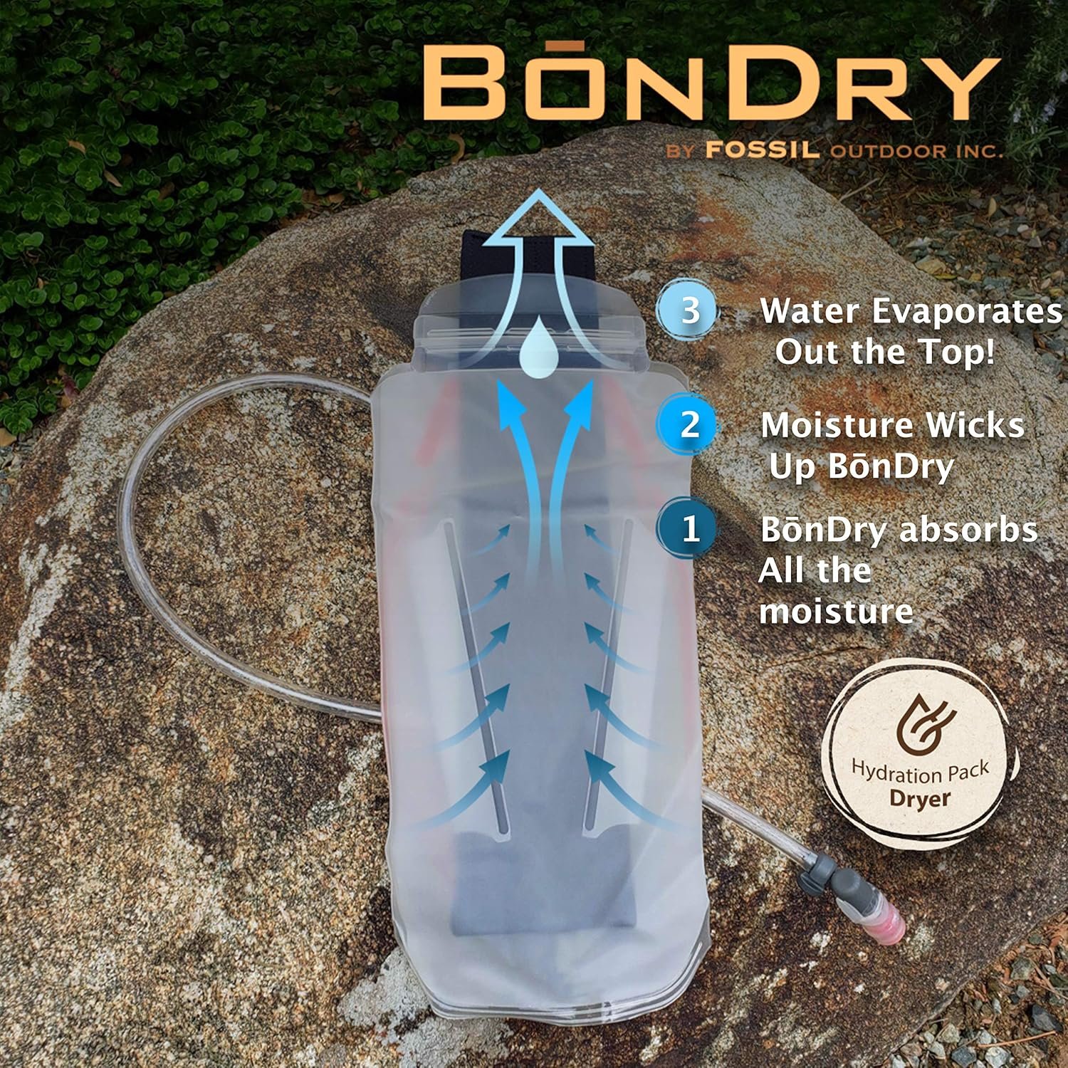 BōnDry - Hydration Pack Bladder Dryer, Made in The U.S.A., Patented, Original Hy...