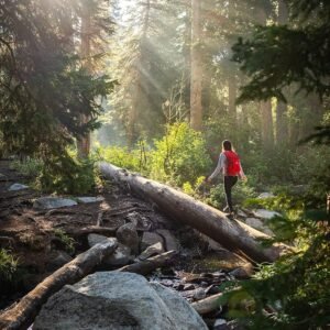 TETON Oasis Hydration Backpacks, Hydration Backpack for Hiking, Running, Cycling...