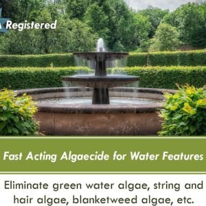 Fountain Algaecide and Clarifier - 8oz - Kills and Inhibits All Types of Algae G...