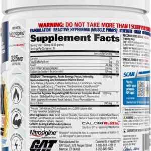 GAT Sport NITRAFLEX Burn, Pre-Workout, Blue Raspberry, 30 servings