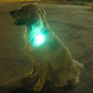 LED Safety Light (2 Pack) - Clip On Strobe/Running Lights for Runners, Dog, Bike...