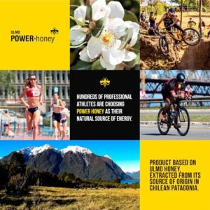 Classic & Blueberry Energy Gel | 24 Units per Packs of 1.3 Oz